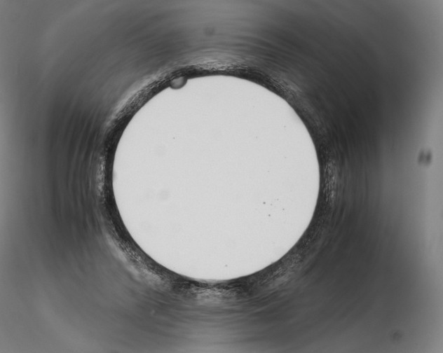 X0000115480400200912181213