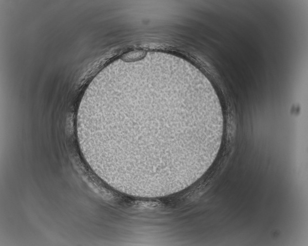 X0000115480401200912181213