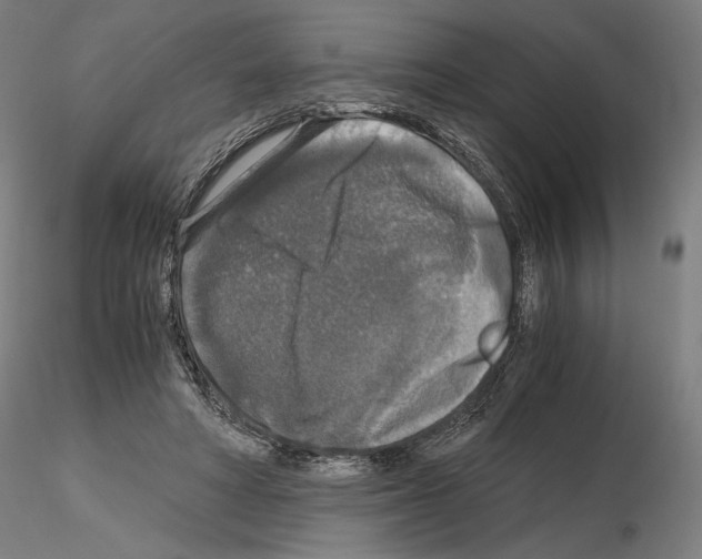 X0000115480402200912181213