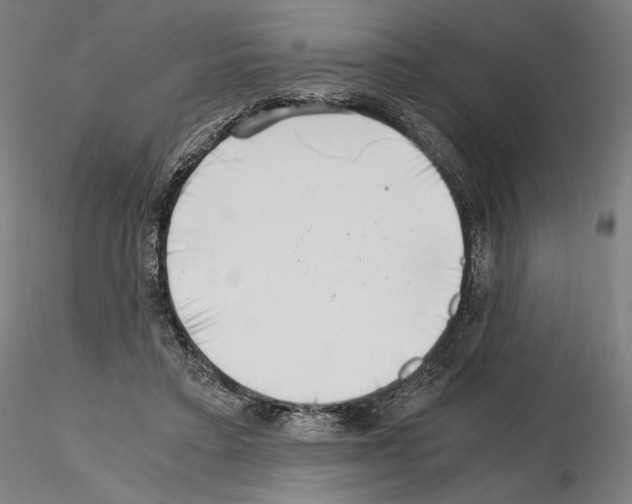 X0000115480403200912181213