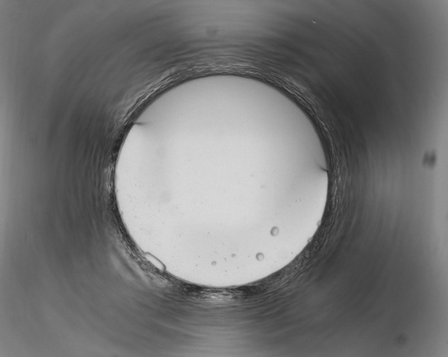 X0000115480405200912181213