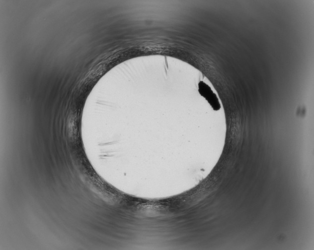 X0000115480408200912181213