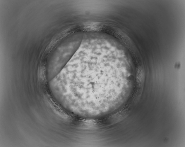 X0000115480409200912181213