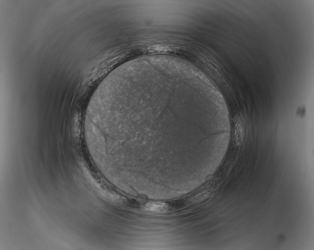 X0000115480410200912181213