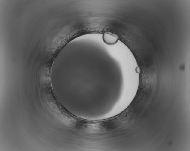 X0000115480411200912181213
