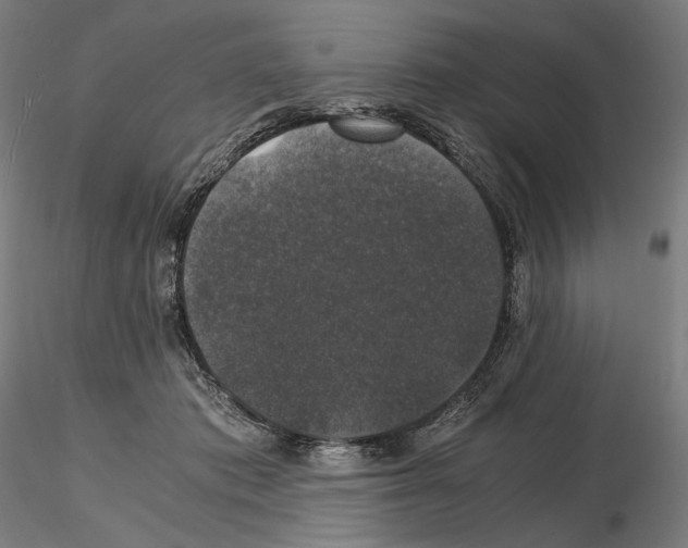 X0000115480413200912181213