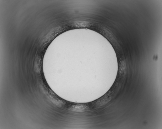X0000115480414200912181213