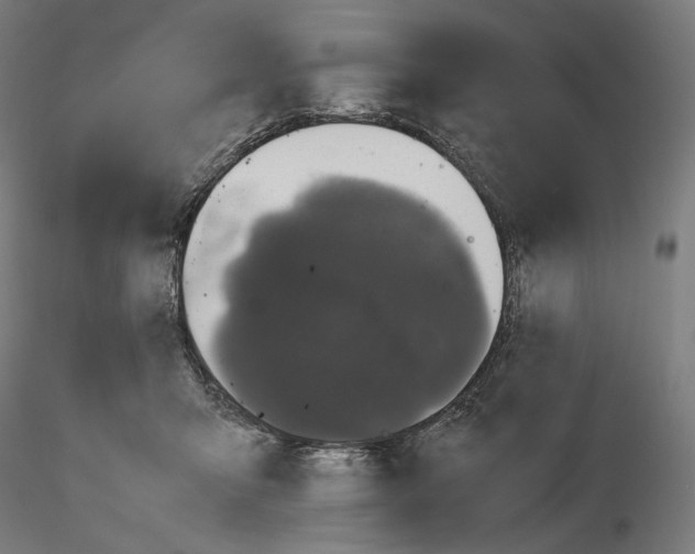 X0000115480415200912181213