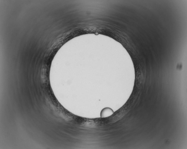 X0000115480416200912181213