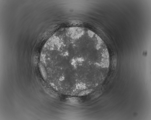 X0000115480417200912181213