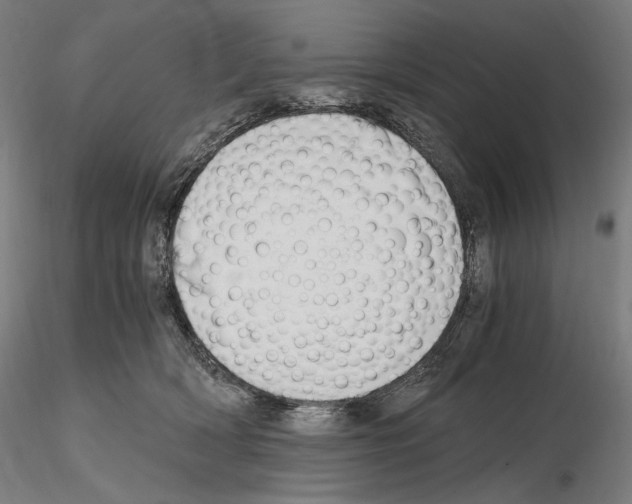X0000115480418200912181213