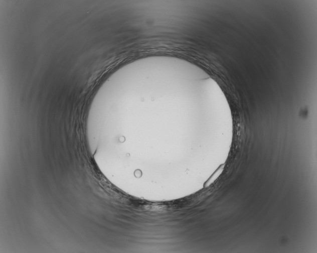 X0000115480419200912181213