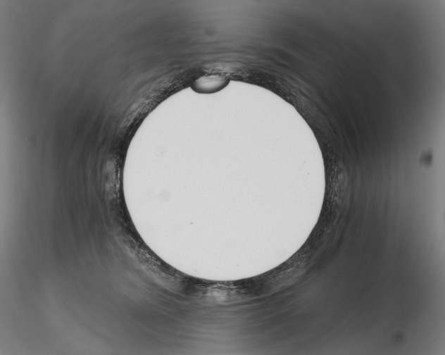 X0000115480420200912181213