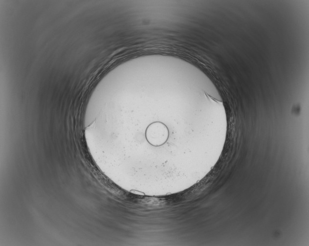 X0000115480421200912181213