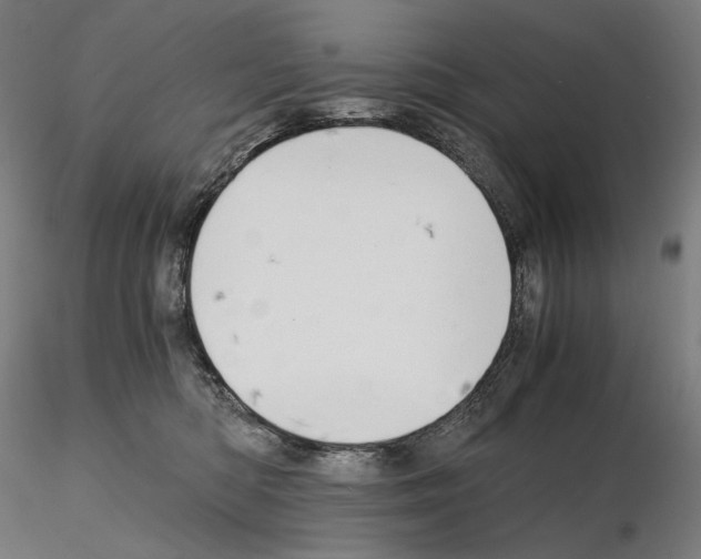 X0000115480422200912181213
