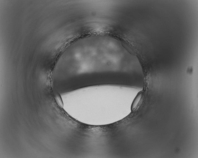 X0000115480423200912181213