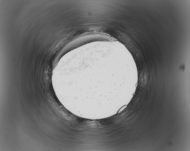 X0000115480424200912181213
