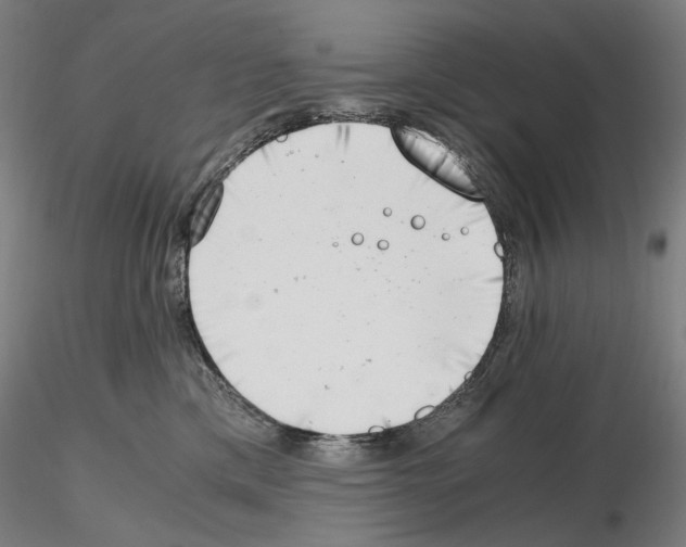 X0000115480425200912181213