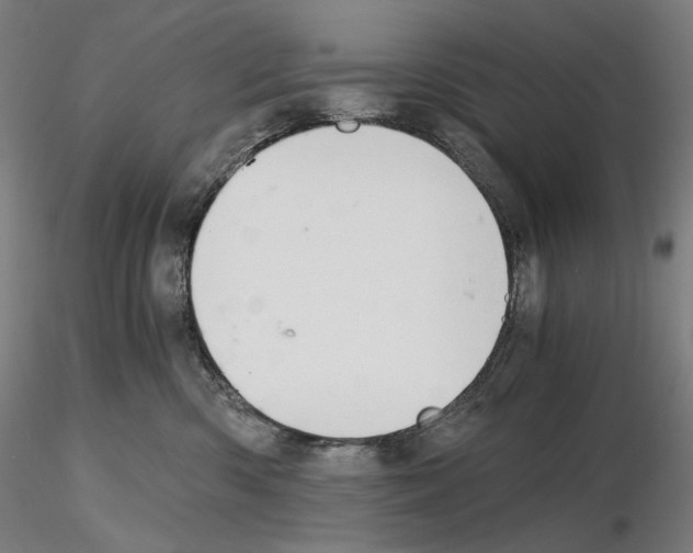 X0000115480426200912181213