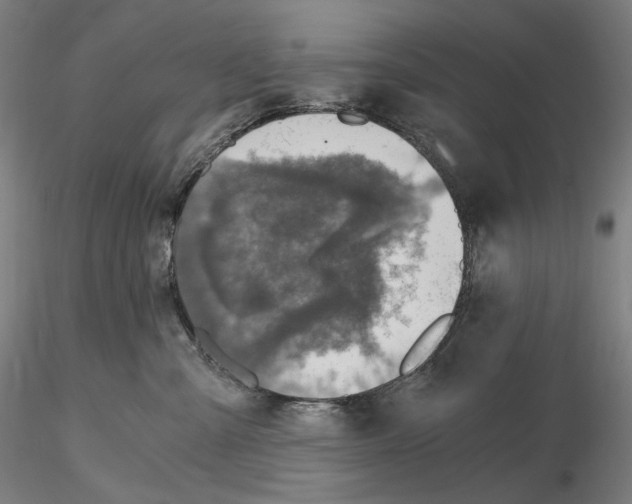 X0000115480427200912181213