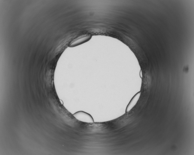 X0000115480428200912181213