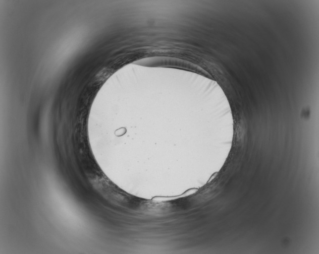 X0000115480429200912181213