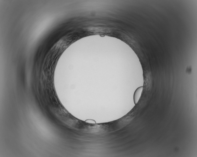 X0000115480430200912181213