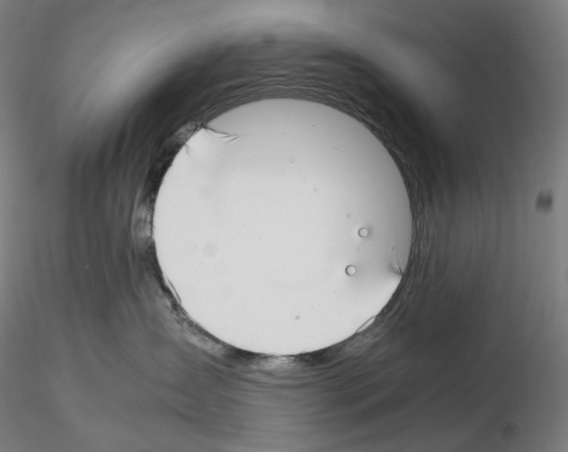 X0000115480431200912181213