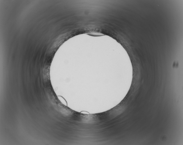 X0000115480432200912181213