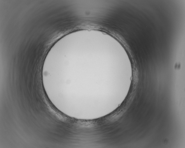 X0000115480433200912181212