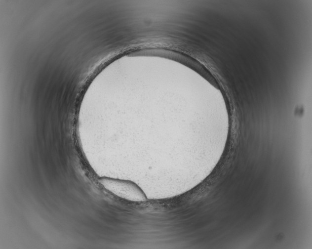 X0000115480434200912181212
