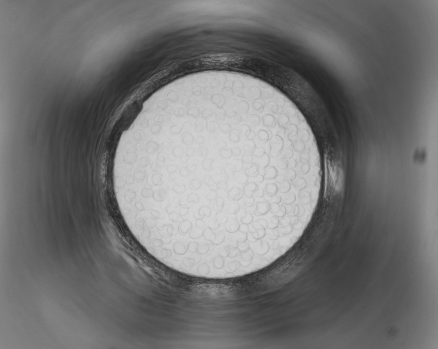 X0000115480435200912181212