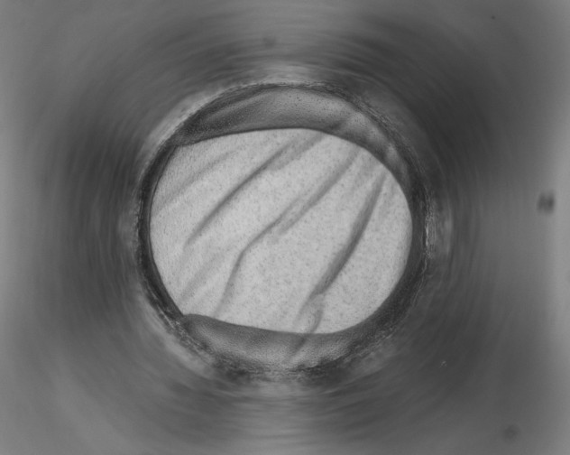 X0000115480436200912181212