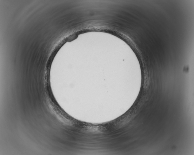 X0000115480439200912181212
