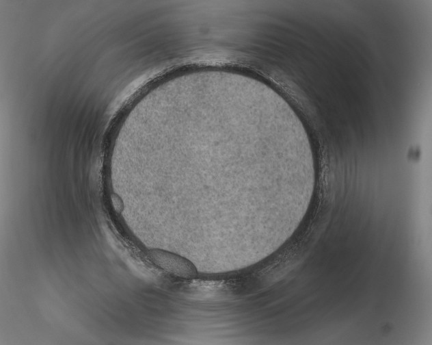 X0000115480440200912181212