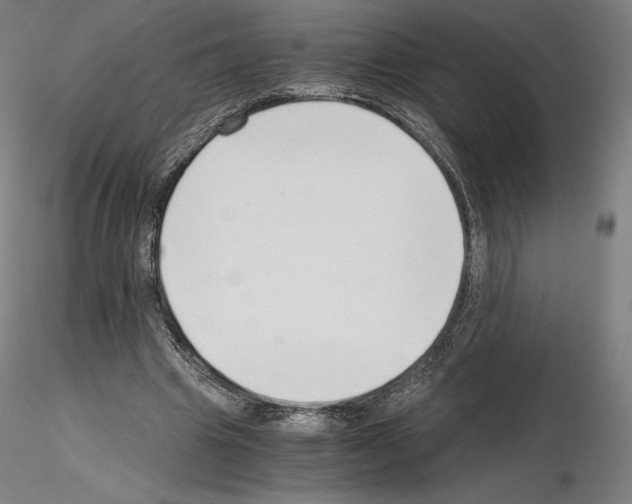 X0000115480441200912181212