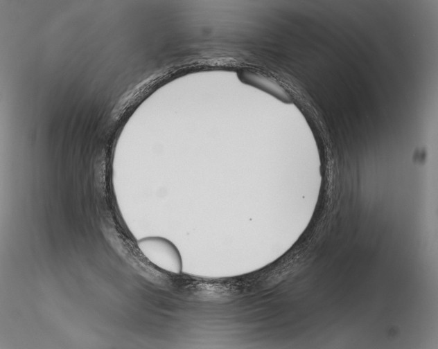 X0000115480442200912181212
