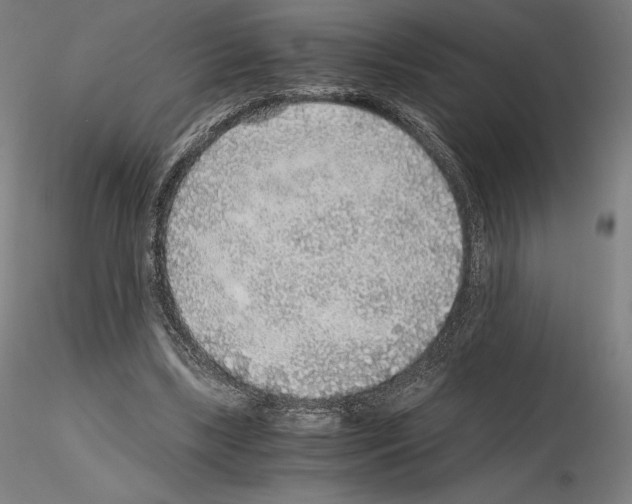 X0000115480443200912181212