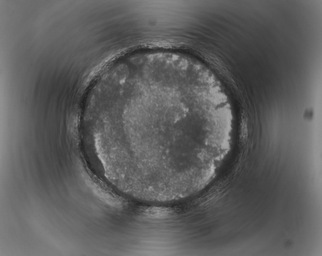 X0000115480444200912181212