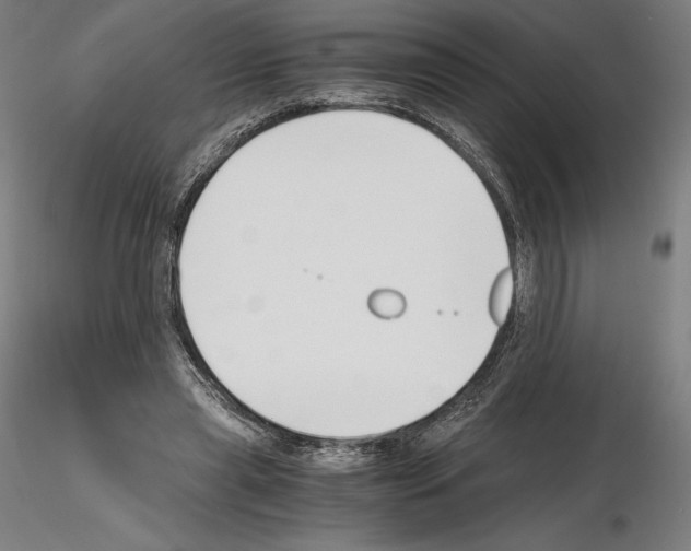 X0000115480445200912181212