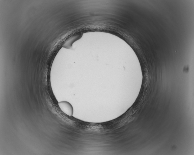 X0000115480446200912181212
