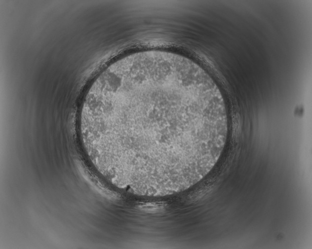 X0000115480447200912181212