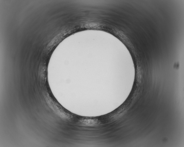 X0000115480449200912181212