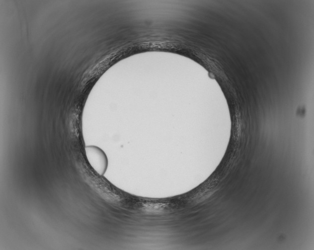 X0000115480450200912181212