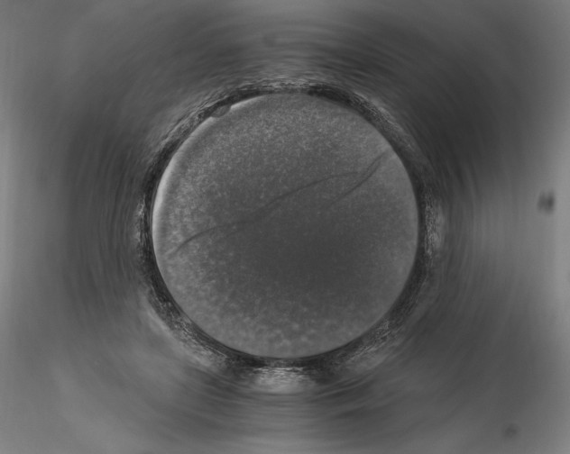 X0000115480451200912181212