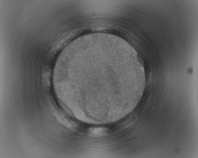 X0000115480452200912181212