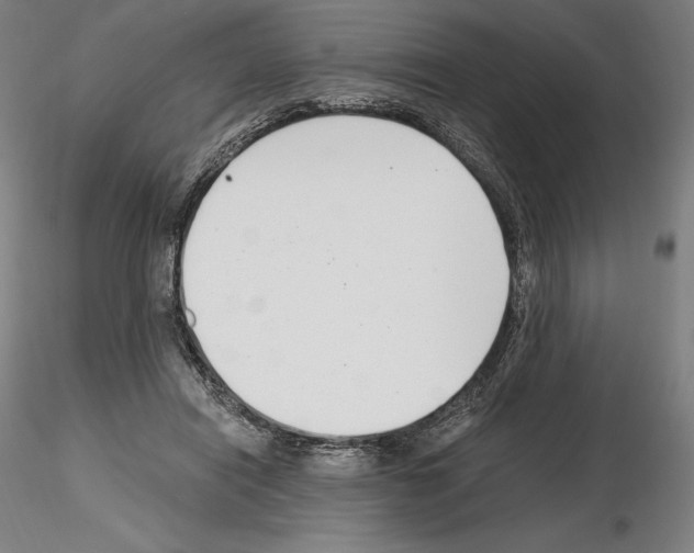 X0000115480454200912181213