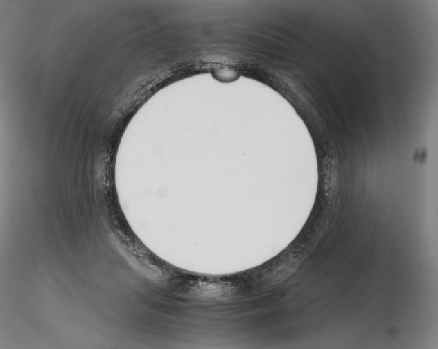 X0000115480455200912181213