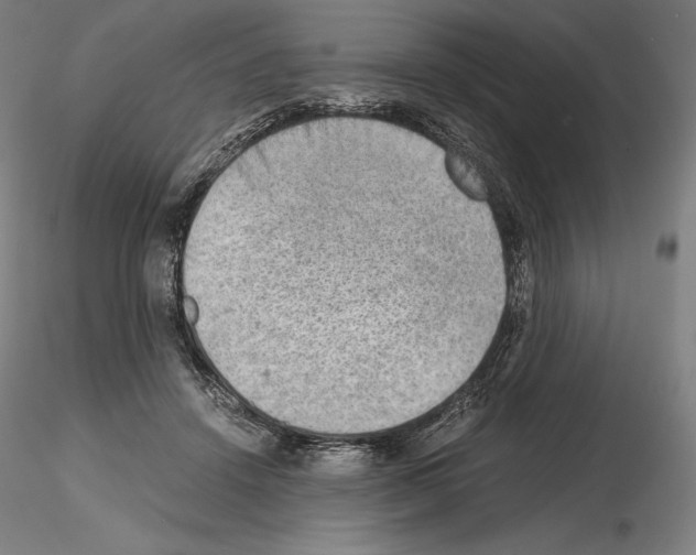X0000115480456200912181213