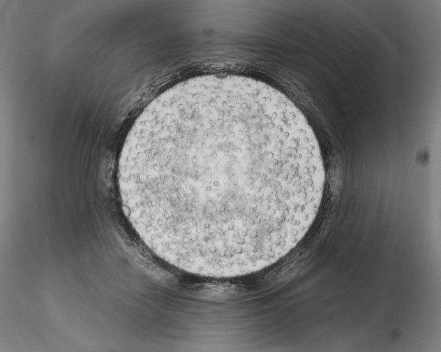 X0000115480458200912181213